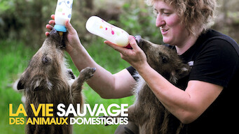 Vie sauvage des animaux domestiques (2009)