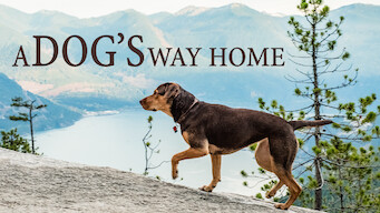 A Dog's Way Home (2019)