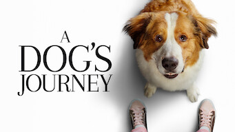 A Dog's Journey (2019)