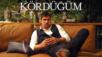 Kördüğüm (2016)